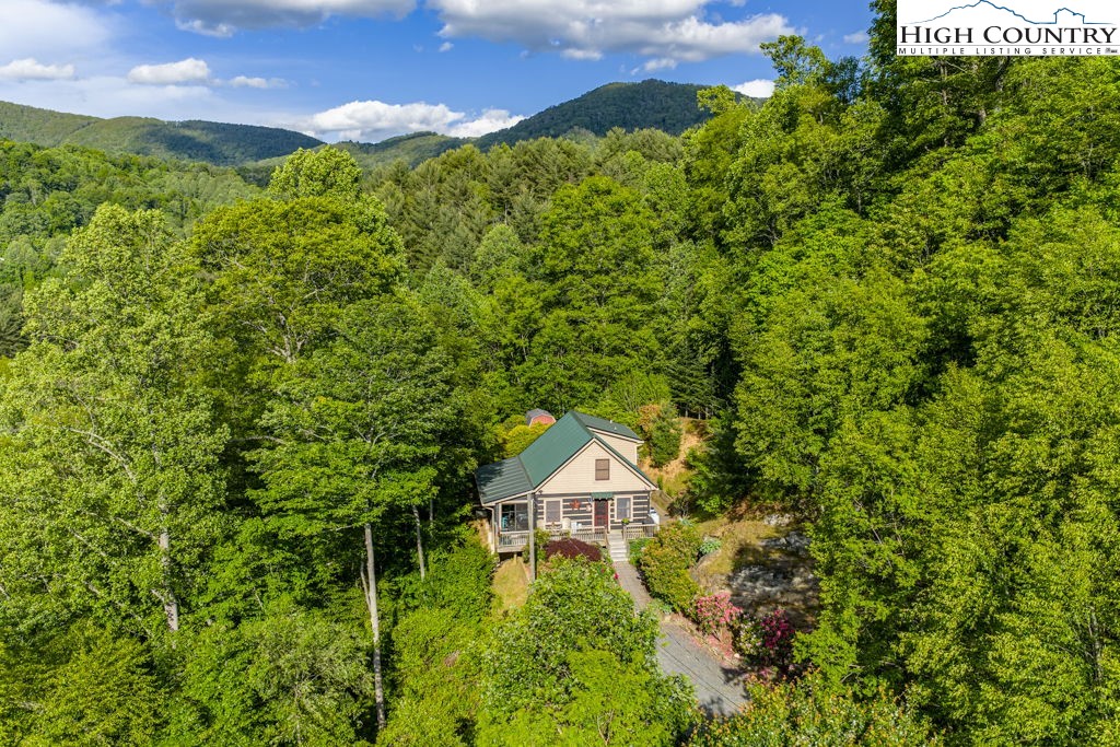612 Joe Shoemaker Road Vilas, NC 28692 - Photo 4 of 50 Gallery Image 4
