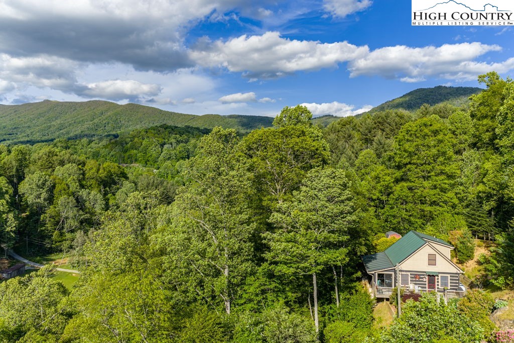 612 Joe Shoemaker Road Vilas, NC 28692 - Photo 46 of 50 Gallery Image 46