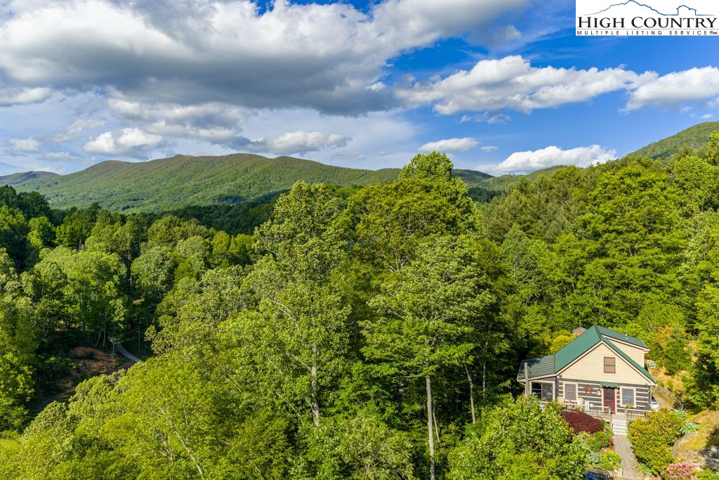 612 Joe Shoemaker Road Vilas, NC 28692 - Photo 47 of 50 Gallery Image 47