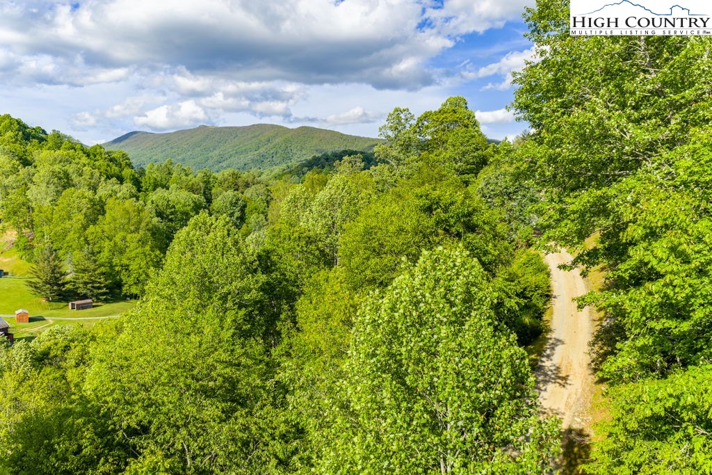 612 Joe Shoemaker Road Vilas, NC 28692 - Photo 48 of 50 Gallery Image 48