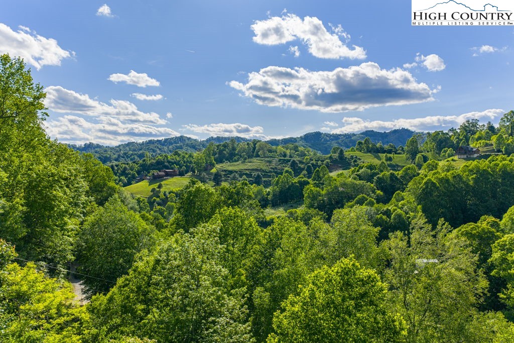 612 Joe Shoemaker Road Vilas, NC 28692 - Photo 49 of 50 Gallery Image 49