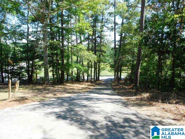 6742 Old Springville Road Pinson, AL 35126 - Photo 2 of 24