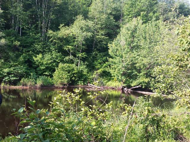 On Swamp Lake Road, Unit LOT 5 Tomahawk, WI 54487 - Photo 2 of 11 Gallery Image 2