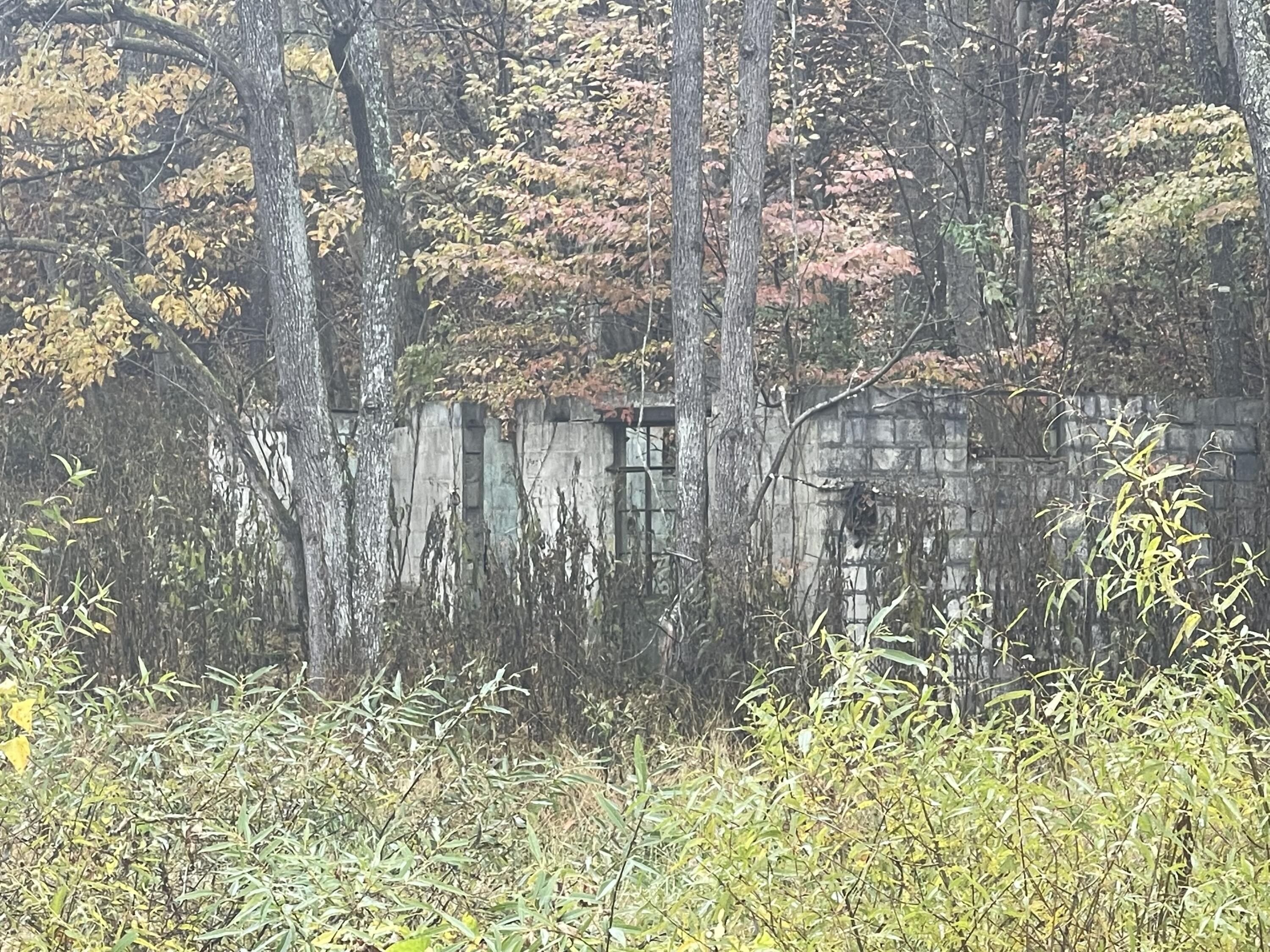 100 Drakes Run Road Mannington, WV 26582 - Photo 3 of 10 Gallery Image 3