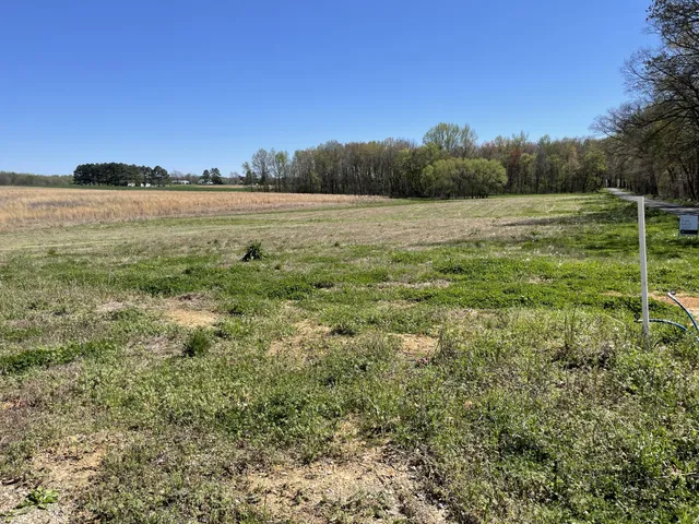 a view of outdoor space and city view
