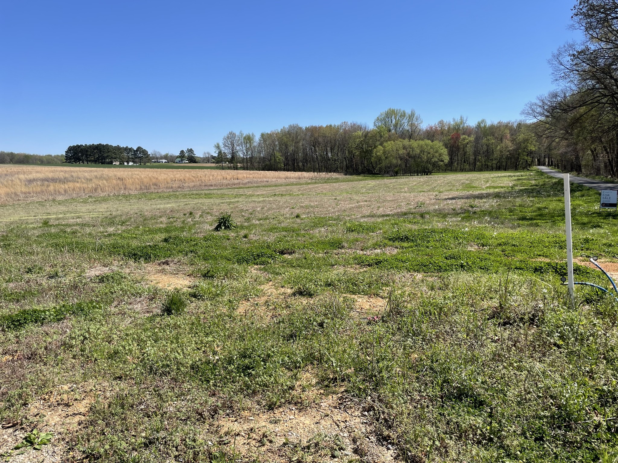 5257 Fred Perry Road Springfield, TN 37172 - Photo 4 of 12 a view of outdoor space and city view