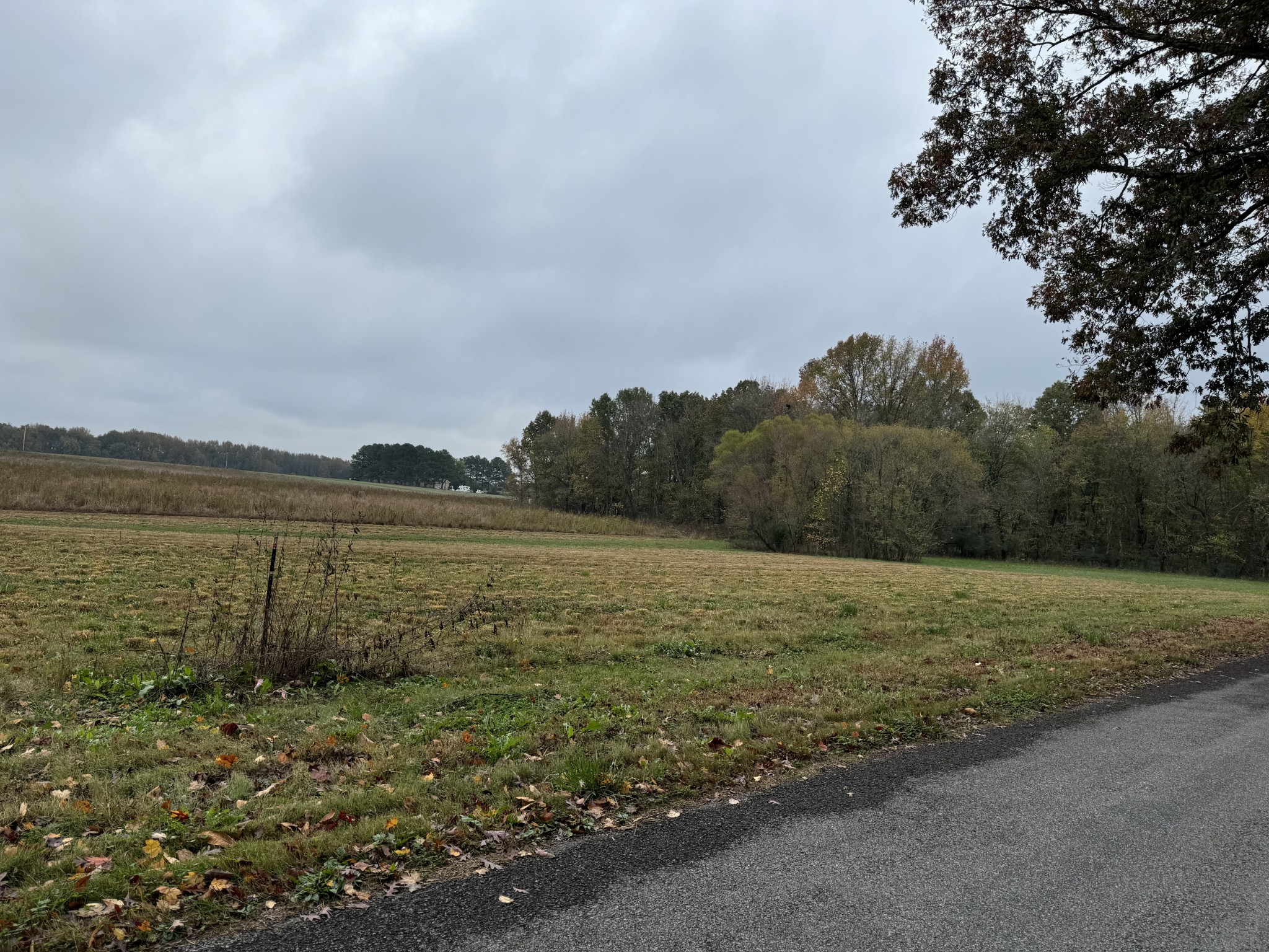 5257 Fred Perry Road Springfield, TN 37172 - Photo 5 of 12