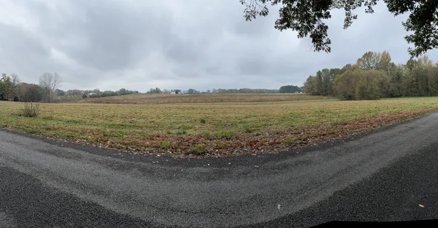 a view of a field with an ocean