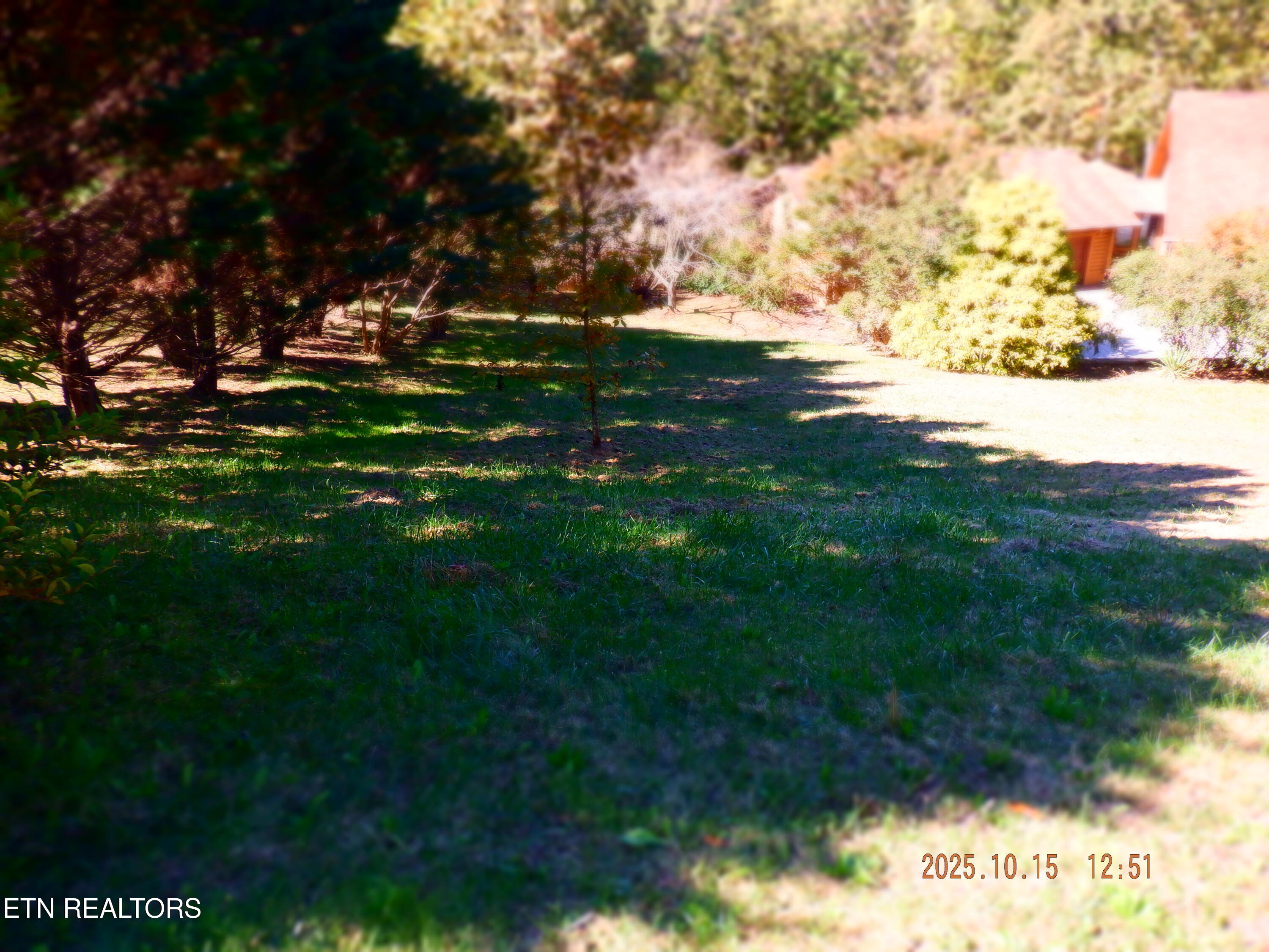 370 Brave Drive Oneida, TN 37841 - Photo 42 of 43 DSCF2324