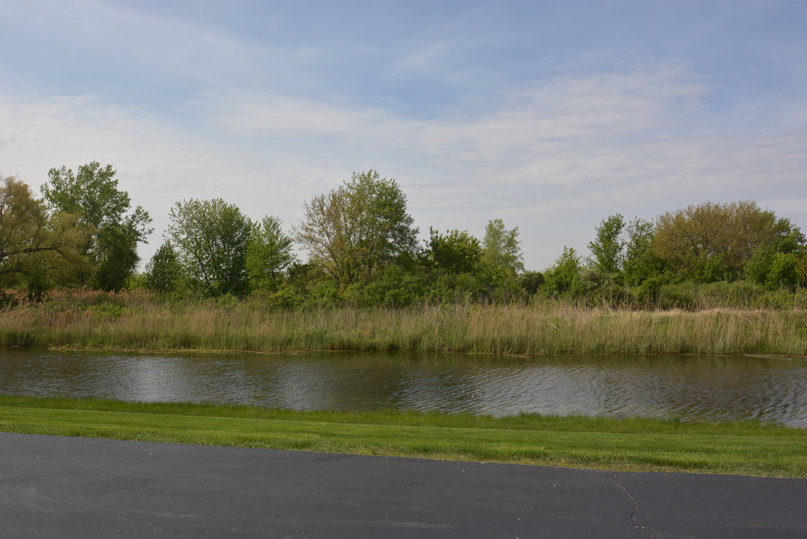 795 Sojourn Road New Lenox, IL 60451 - Photo 3 of 17