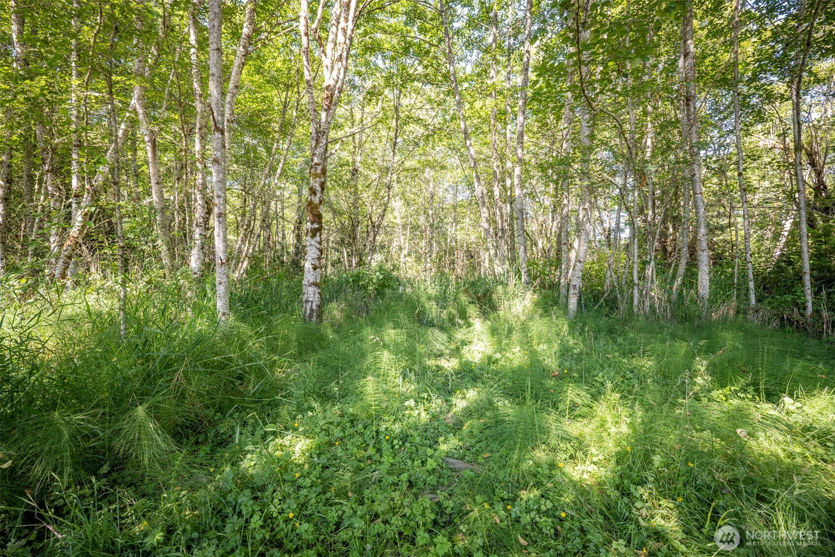 92 Gossett Road Port Angeles, WA 98363 - Photo 17 of 40 Gallery Image 17