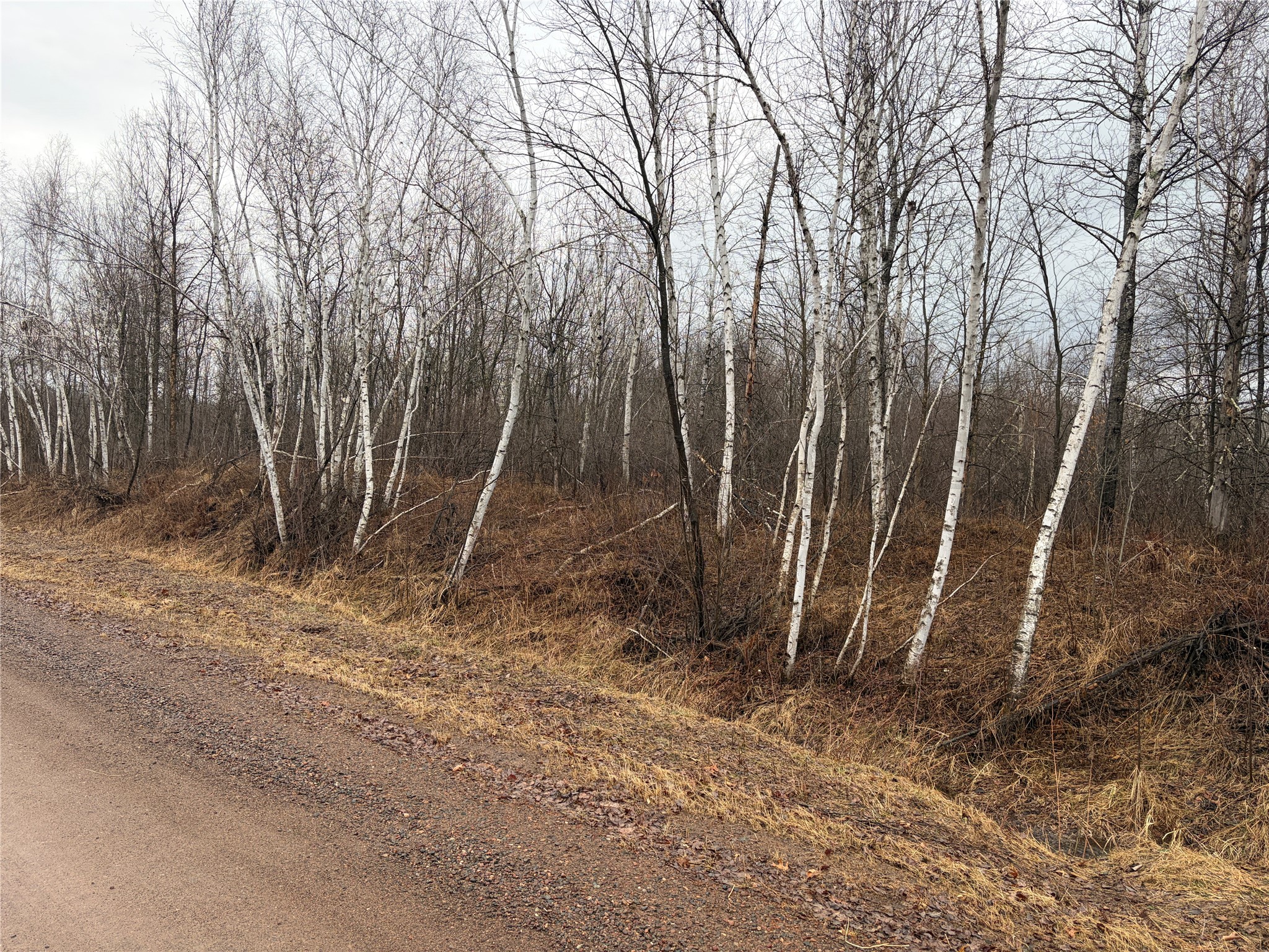 On Sheep Camp Road Ladysmith, WI 54848 - Photo 1 of 6