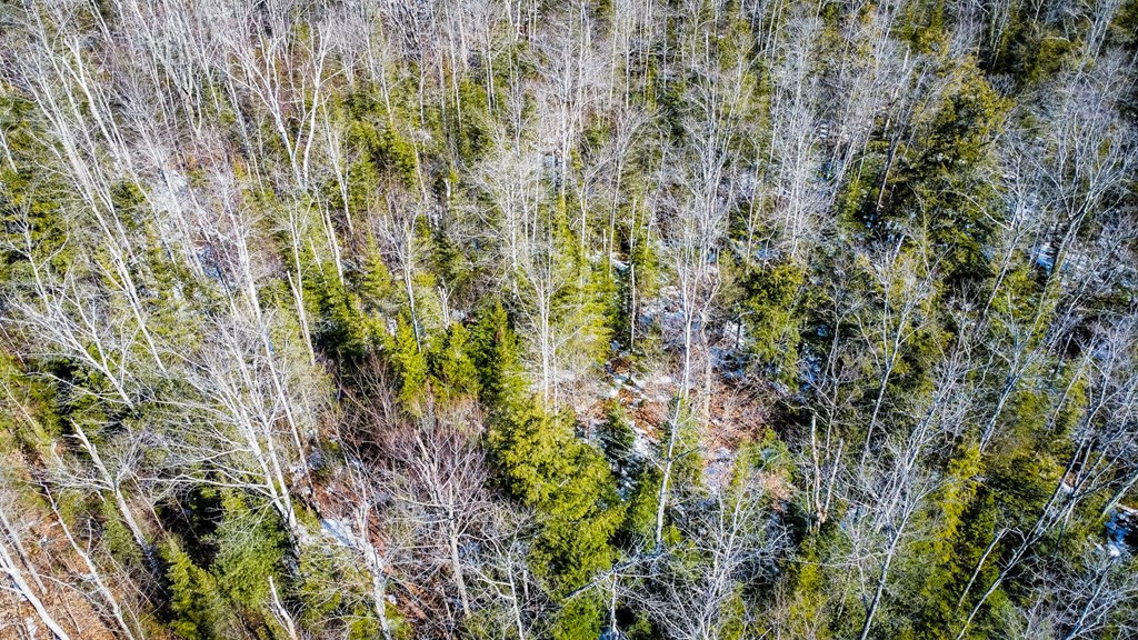 County Road Baileys Harbor, WI 54202 - Photo 7 of 11