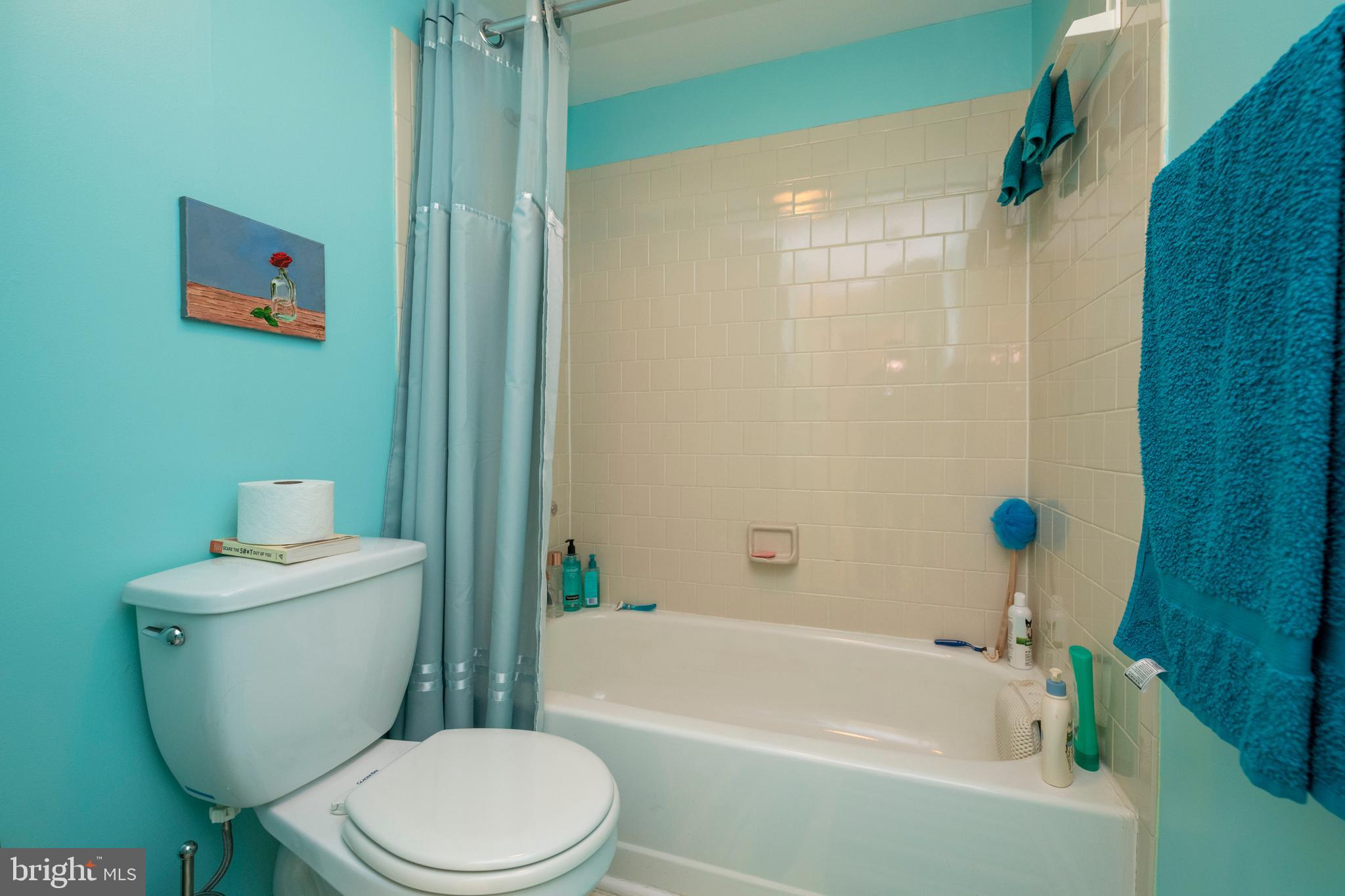 711 Pleasant Hill Road Ellicott City, MD 21043 - Photo 24 of 36 Upstairs Hall Bath