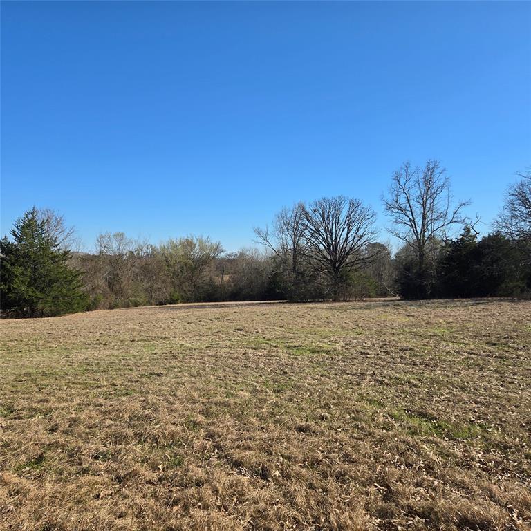 20398 Old Palestine Road Flint, TX 75762 - Photo 11 of 12