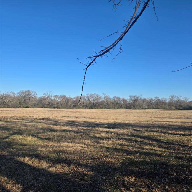 20398 Old Palestine Road Flint, TX 75762 - Photo 2 of 12