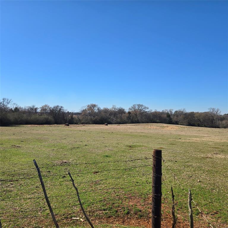 20398 Old Palestine Road Flint, TX 75762 - Photo 3 of 12