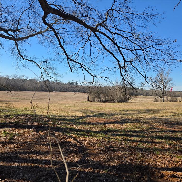 20398 Old Palestine Road Flint, TX 75762 - Photo 4 of 12