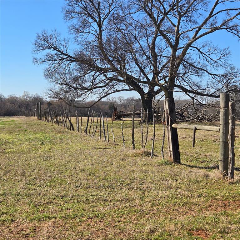 20398 Old Palestine Road Flint, TX 75762 - Photo 5 of 12