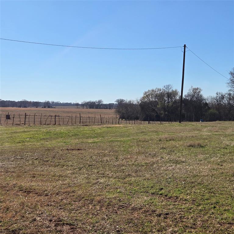 20398 Old Palestine Road Flint, TX 75762 - Photo 6 of 12