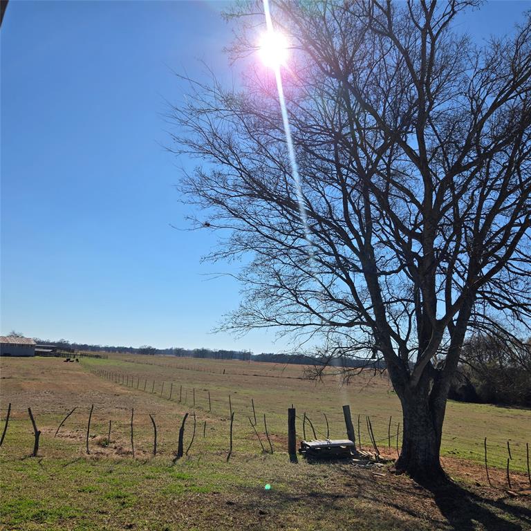 20398 Old Palestine Road Flint, TX 75762 - Photo 7 of 12