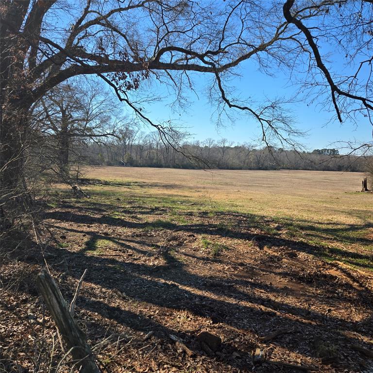 20398 Old Palestine Road Flint, TX 75762 - Photo 8 of 12