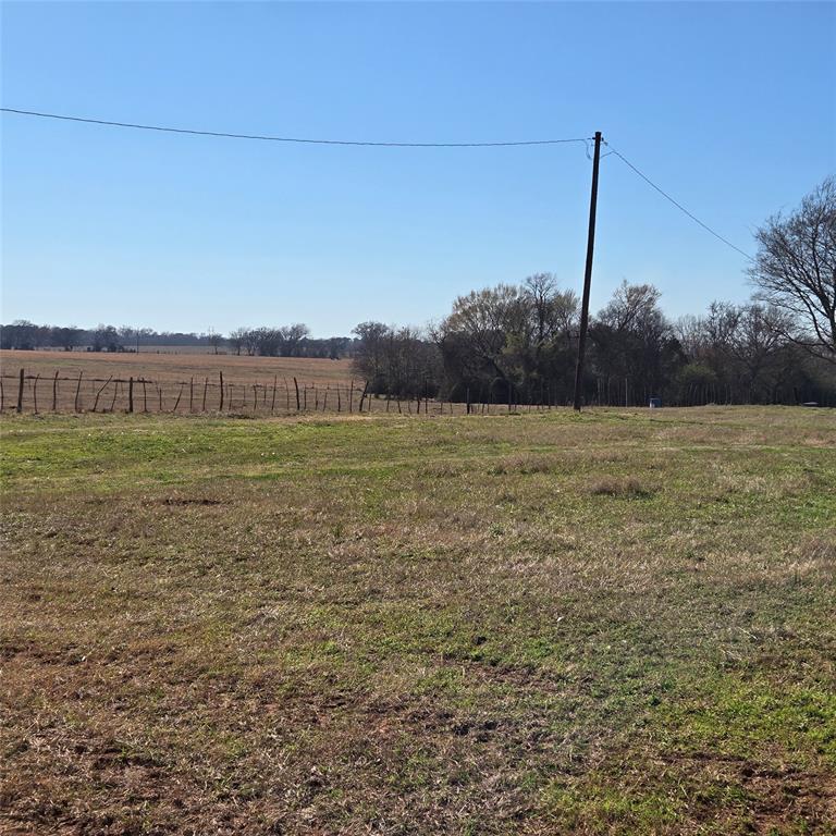20398 Old Palestine Road Flint, TX 75762 - Photo 9 of 12