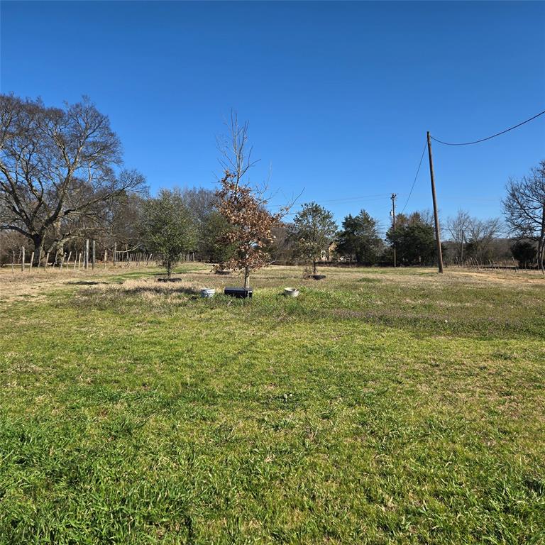 20398 Old Palestine Road Flint, TX 75762 - Photo 10 of 12