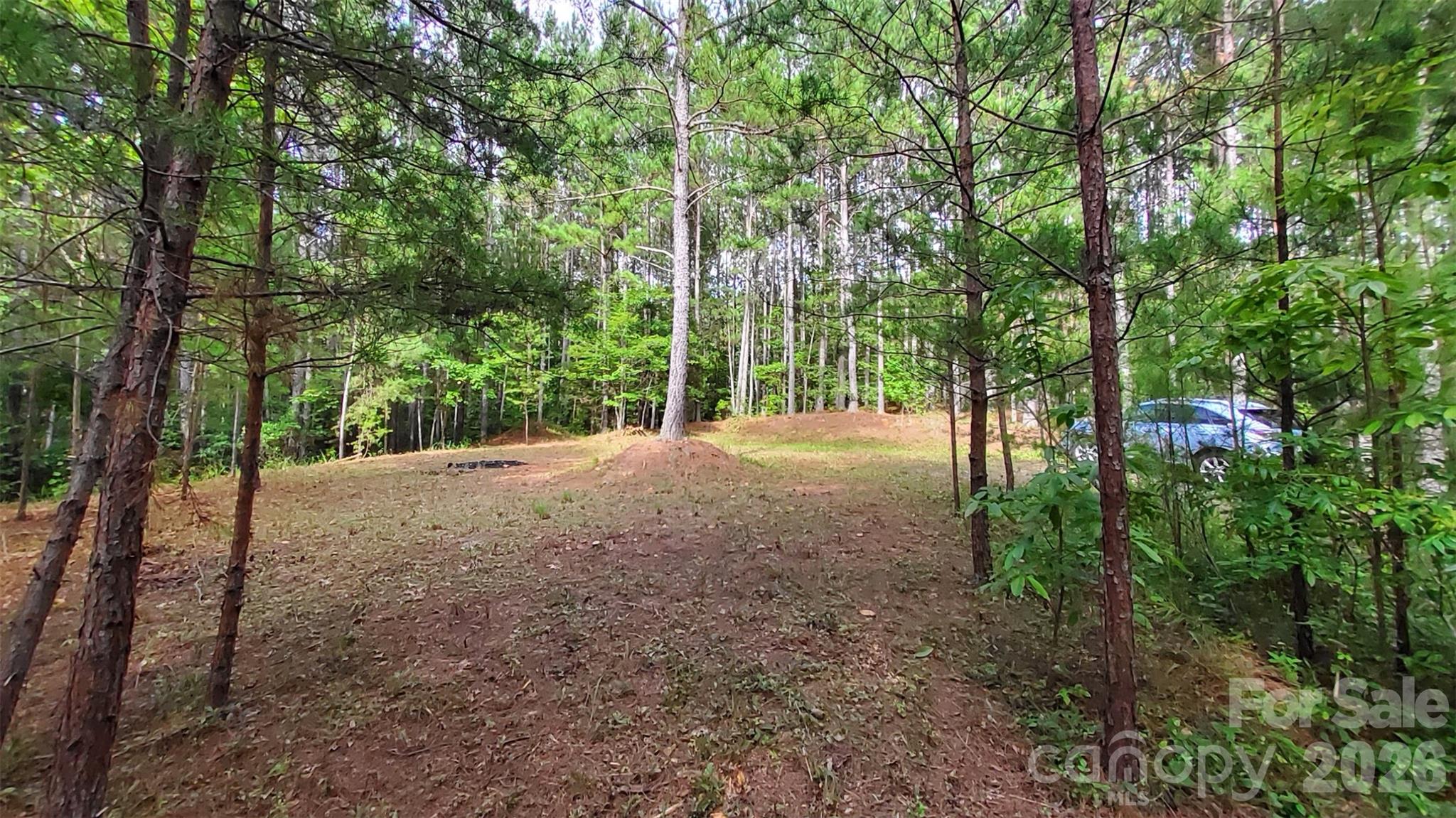0 Sunset Drive, Unit 12 Mill Spring, NC 28756 - Photo 15 of 20 Gallery Image 15
