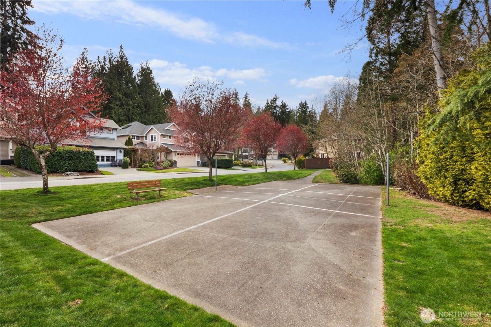 11127 Northeast 162nd Street Bothell, WA 98011 - Photo 40 of 40 a view of a park with large trees
