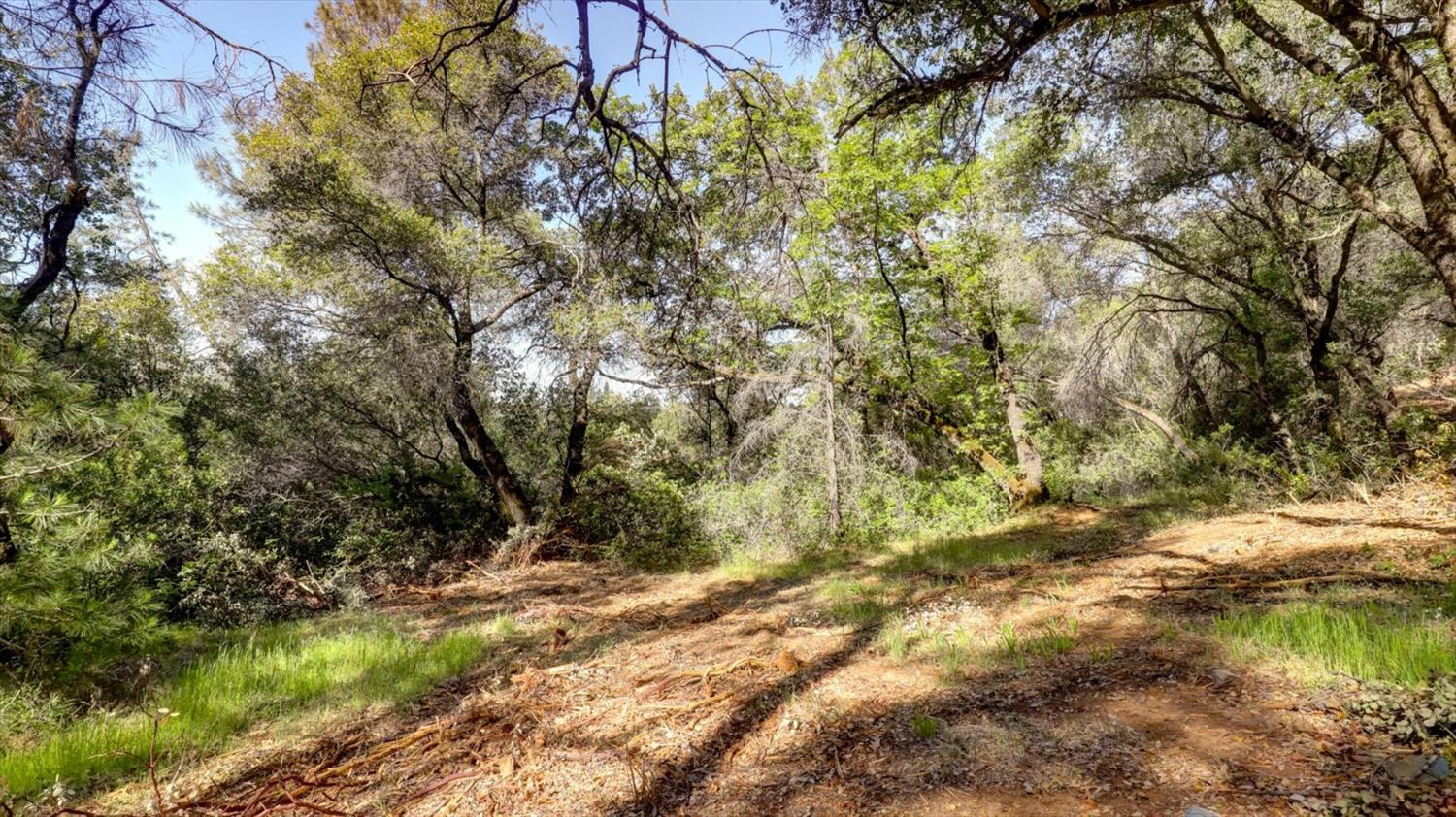 0 Southridge Road Penn Valley, CA 95946 - Photo 55 of 72