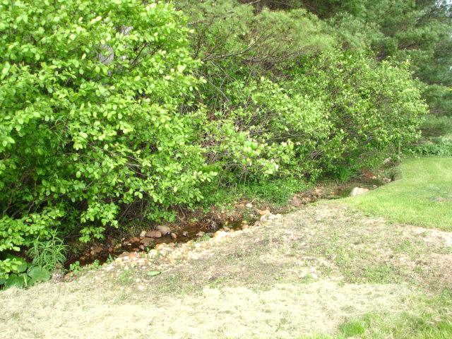 781 Roberson Mill Road Southeast Floyd, VA 24091 - Photo 4 of 7 a view of a yard with plants
