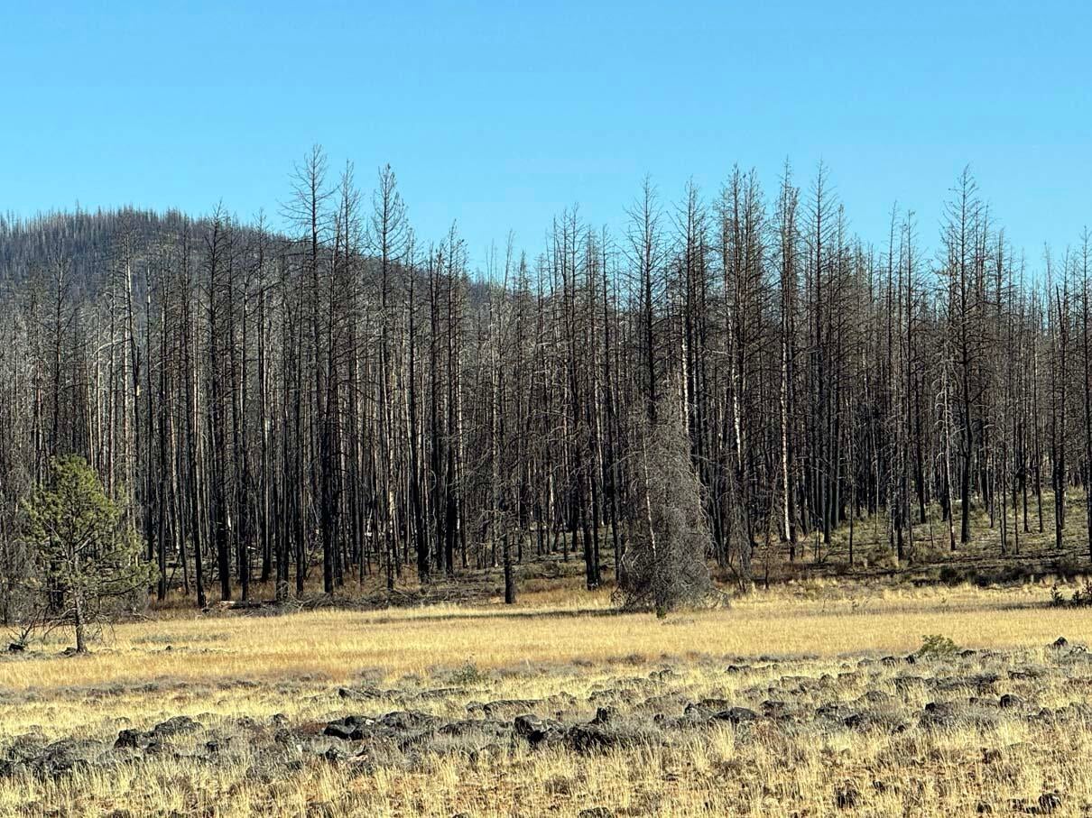 Bull Pine Road, Unit 500 400 300 Beatty, OR 97621 - Photo 18 of 49 IMG_4203