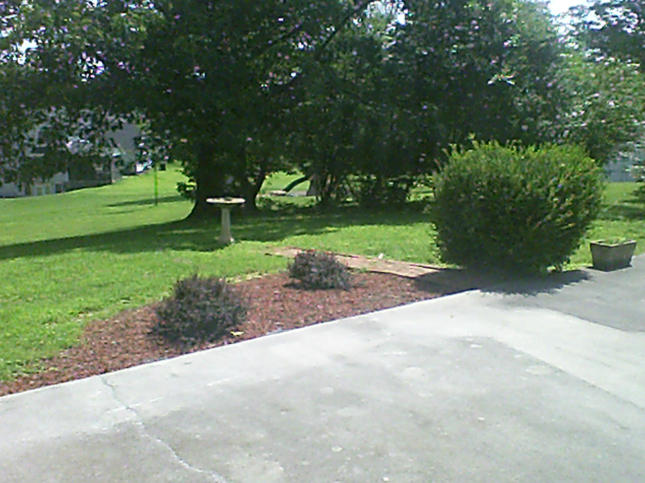 5352 Sundance Road Salem, VA 24153 - Photo 12 of 14 Back Yard