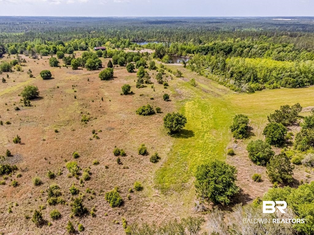 0 Kings Ldg Road Seminole, AL 36574 - Photo 14 of 17
