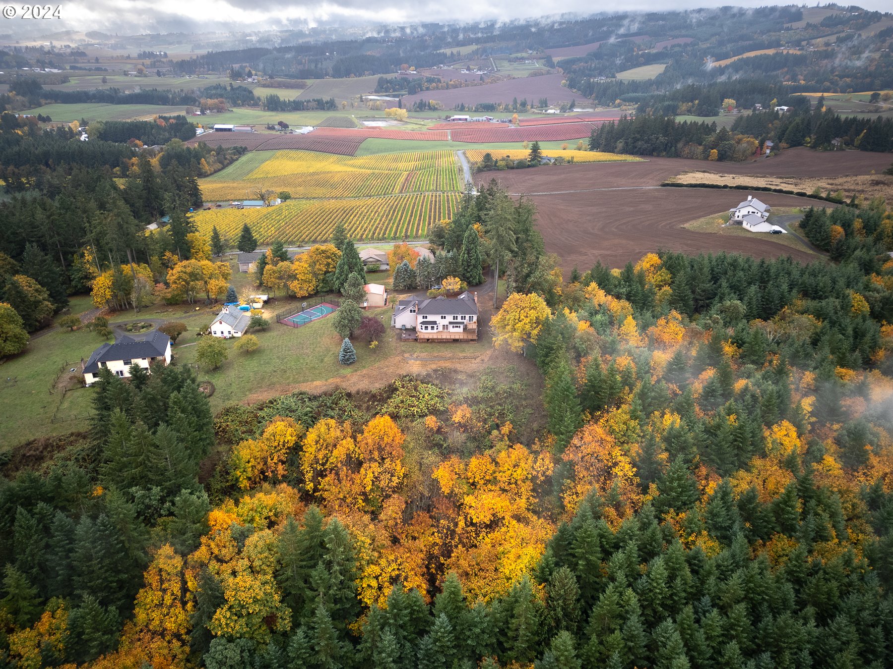 33495 Southwest Riedweg Road Cornelius, OR 97113 - Photo 44 of 48 a view of a lake