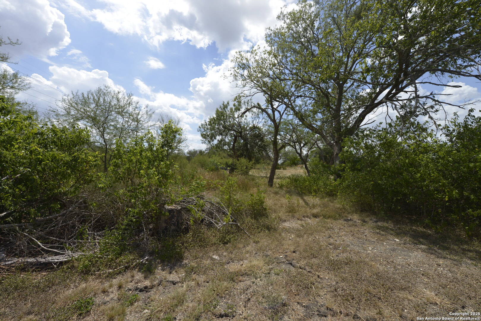 633 Tolle Road Cibolo, TX 78108 - Photo 2 of 23