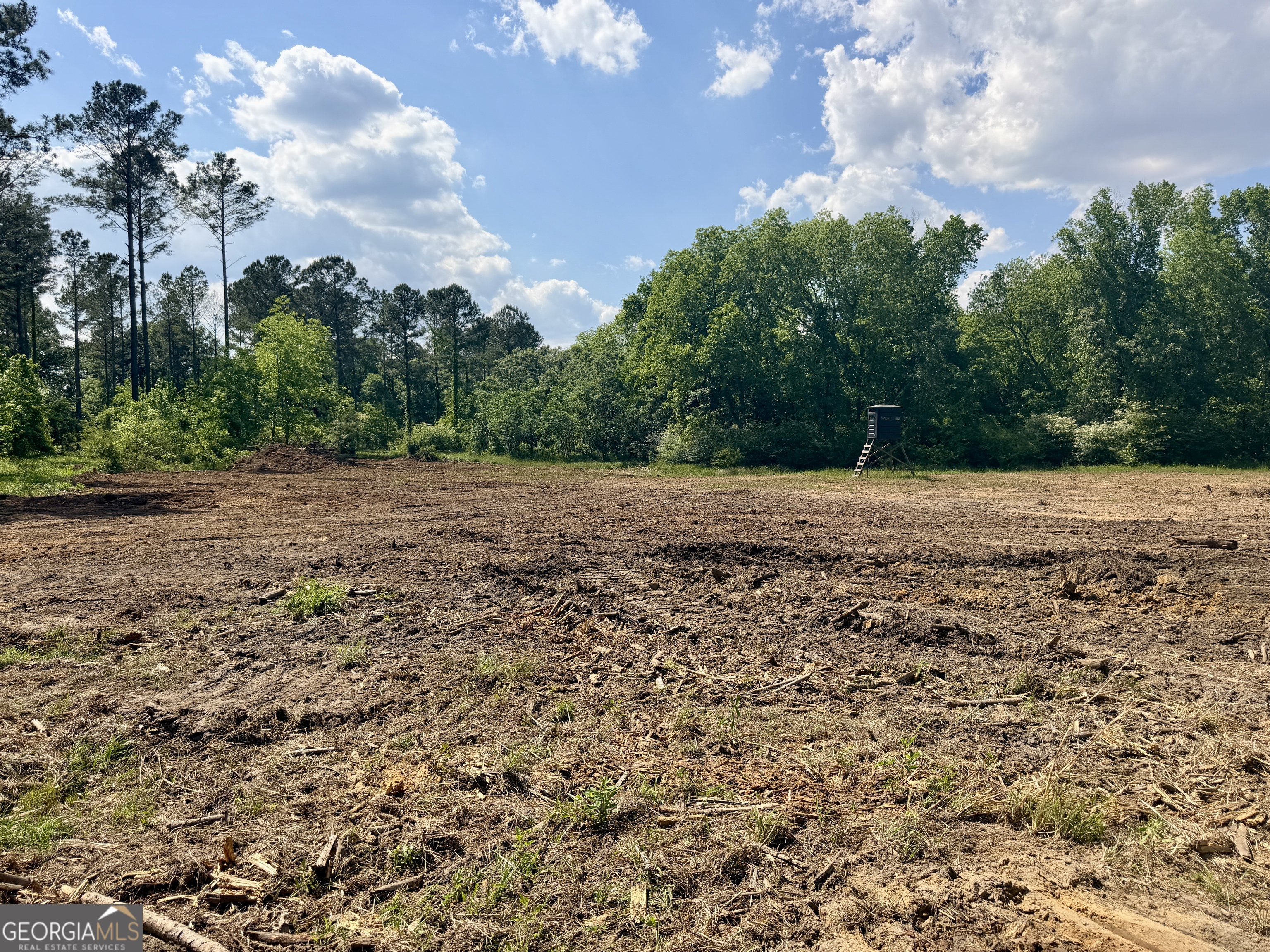 0 Poplar Springs Road Byromville, GA 31007 - Photo 18 of 36 Gallery Image 18
