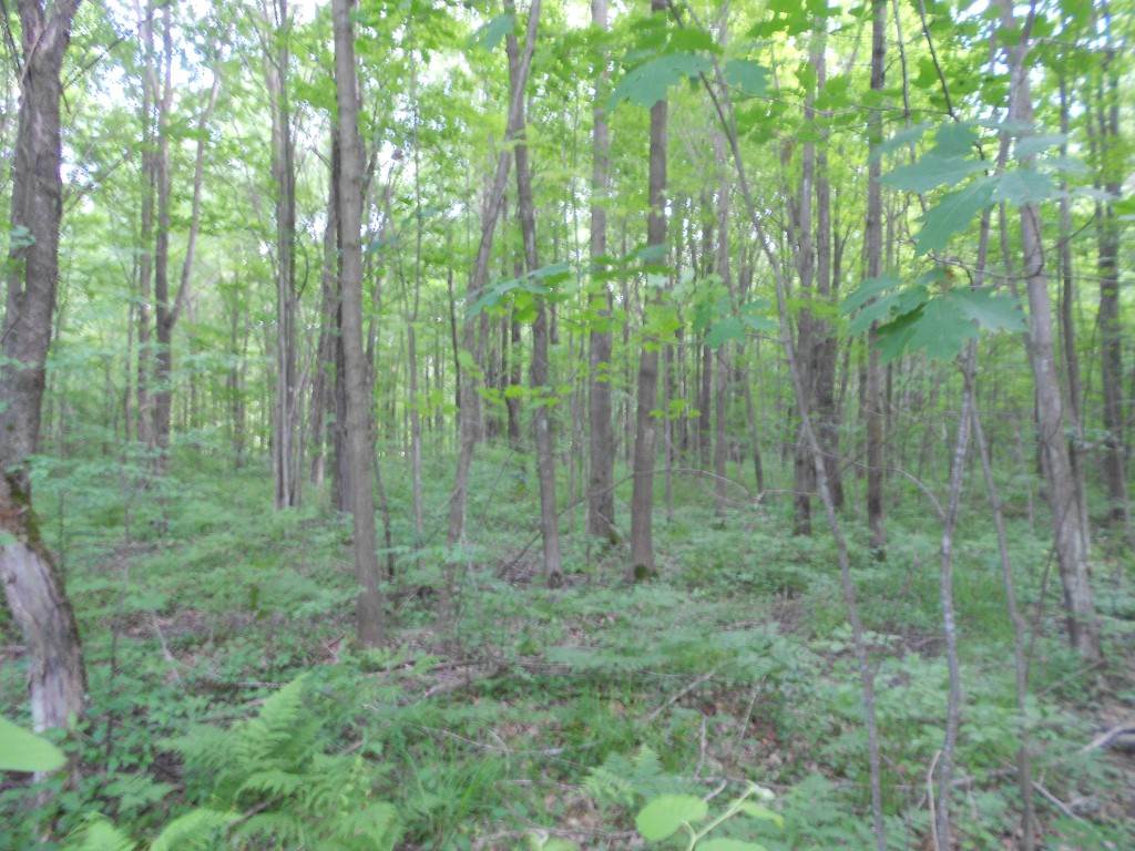 3140 South East County Line Road Shepherd, MI 48883 - Photo 33 of 38 1848769-32.JPG