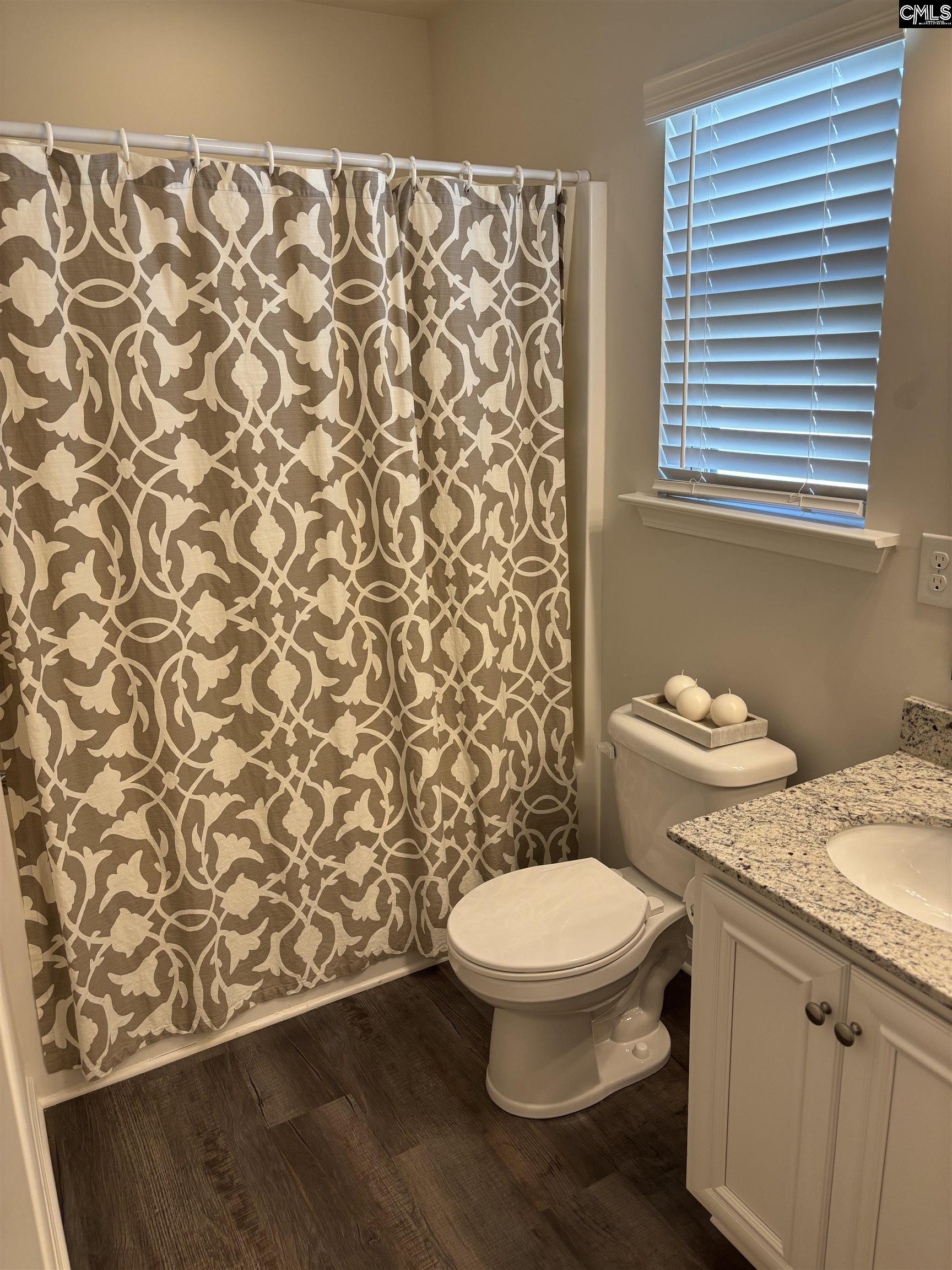 154 Wahoo Circle Irmo, SC 29063 - Photo 6 of 43