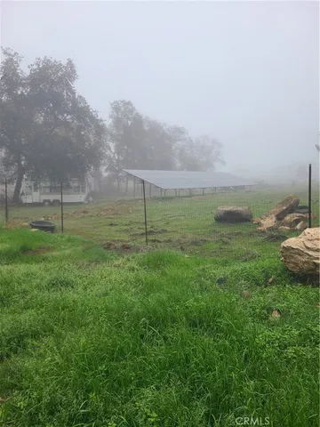 a yard with lots of green space and deers