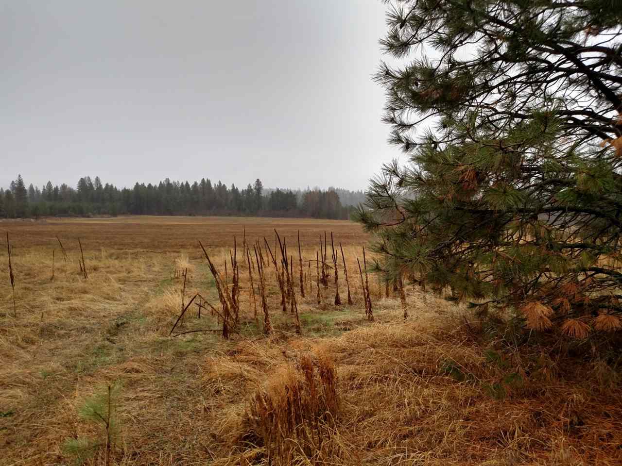 124-xx East Nelson Road Elk, WA 99009 - Photo 17 of 20