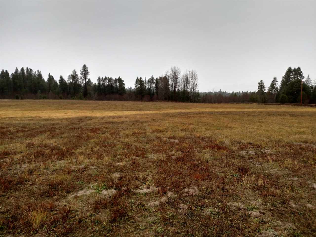 124-xx East Nelson Road Elk, WA 99009 - Photo 18 of 20