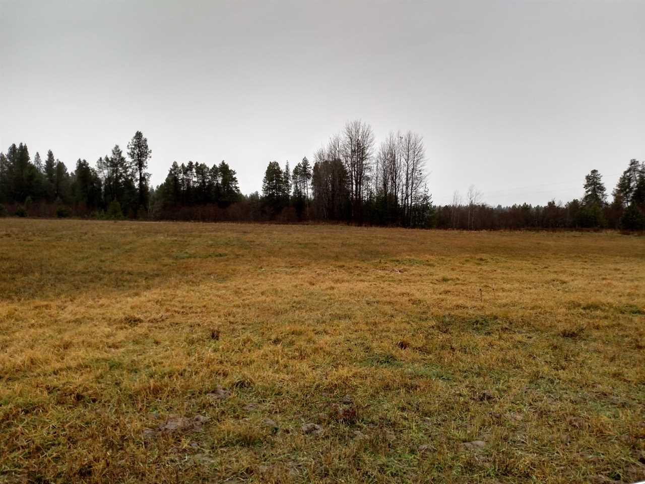 124-xx East Nelson Road Elk, WA 99009 - Photo 19 of 20