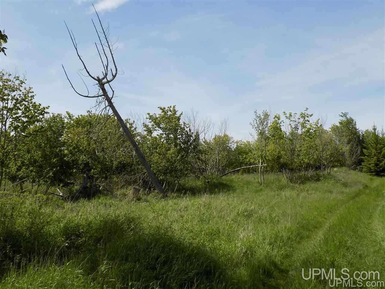 Tbd Miller Point Road Manistique, MI 49854 - Photo 7 of 18