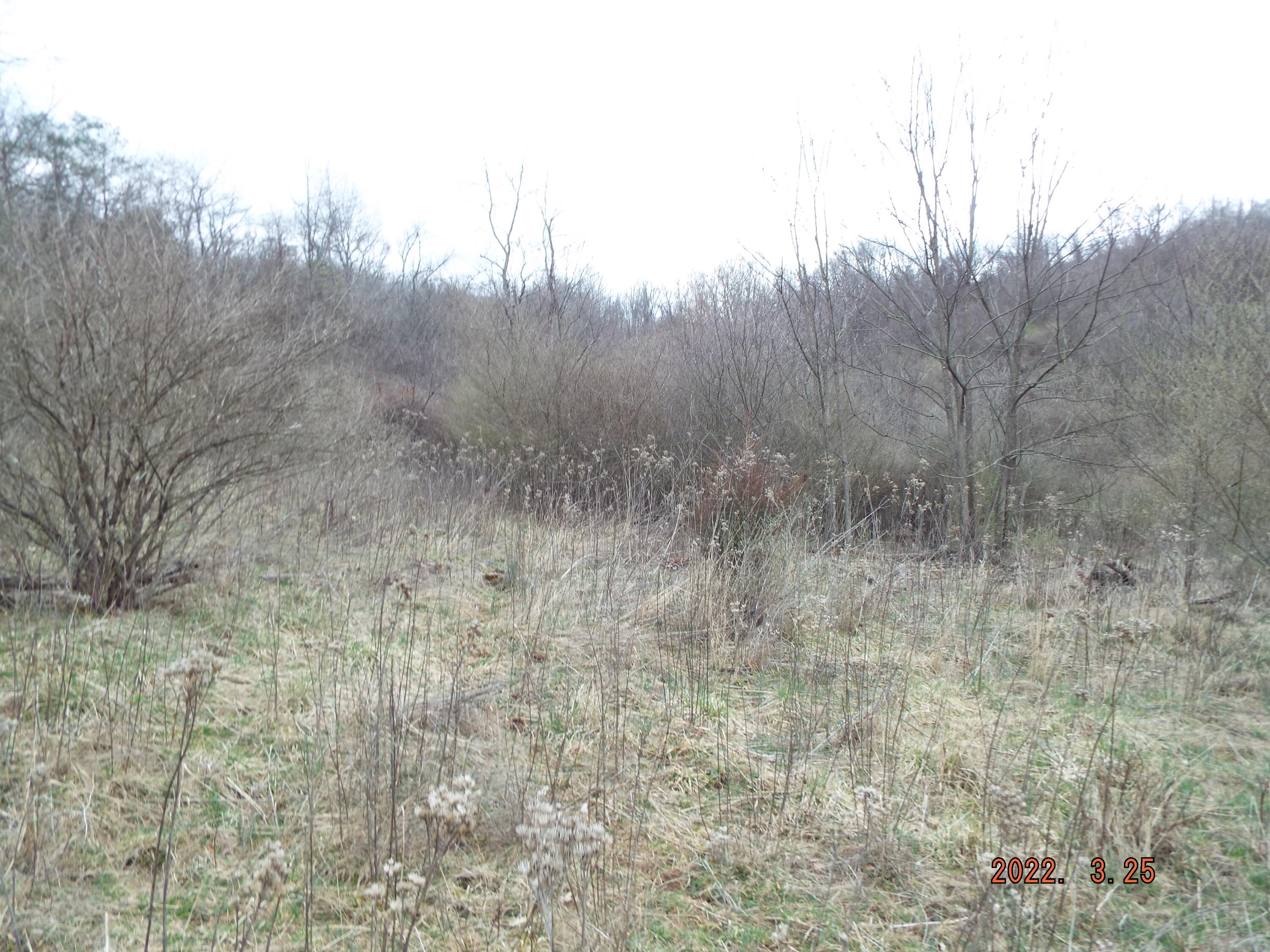 Mcelhenny Road Lewisburg, WV 24901 - Photo 7 of 7 Gallery Image 7