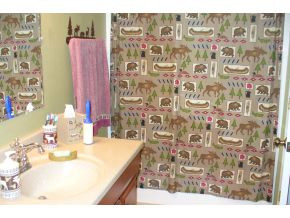 1370 West Allens Bridge Road Greeneville, TN 37743 - Photo 14 of 23 2nd master bath
