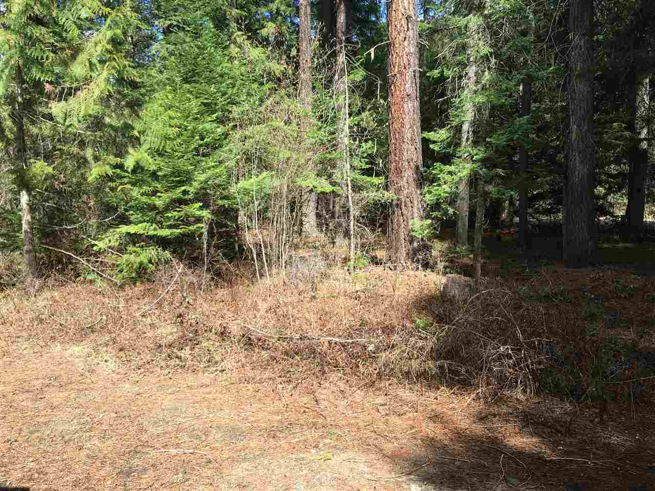 211 Leclerc Creek Road Cusick, WA 99119 - Photo 17 of 20 Gallery Image 17