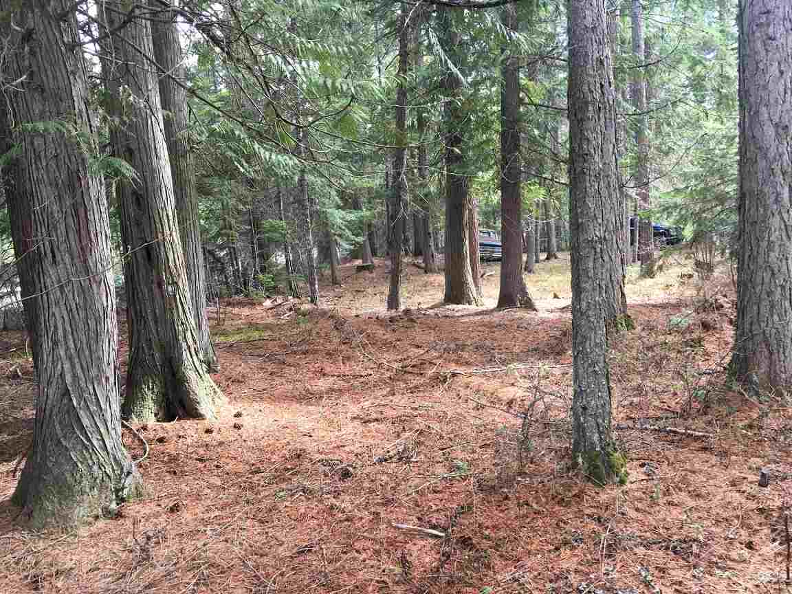 211 Leclerc Creek Road Cusick, WA 99119 - Photo 9 of 20 Gallery Image 9