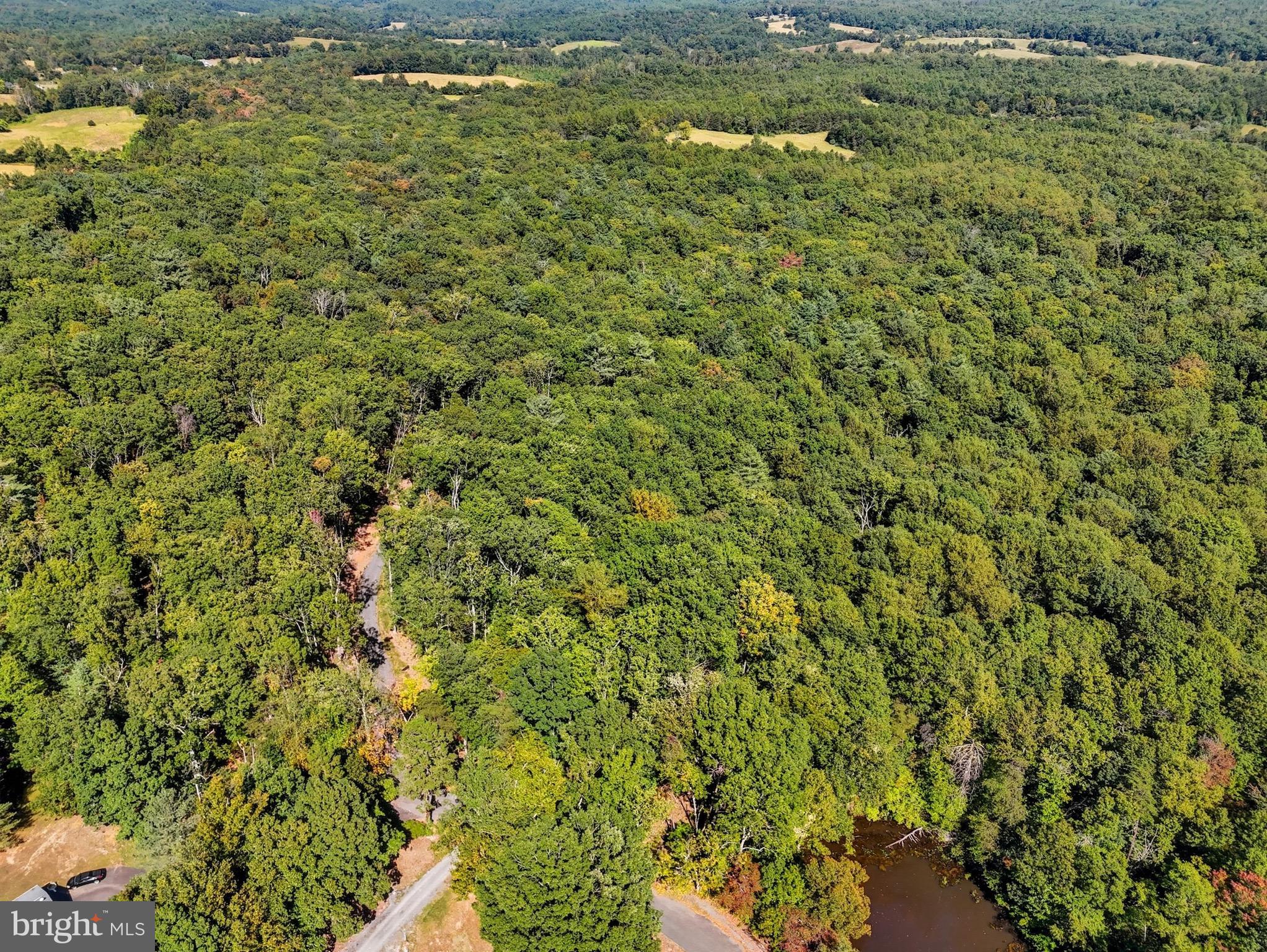 Lot 7 Obannons Mill Road Boston, VA 22713 - Photo 3 of 14 a view of a bunch of trees with a tree